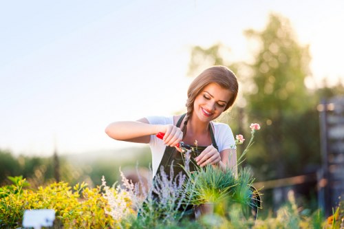 Professionally mowed lawn in Blackheath