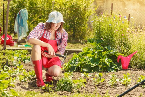 A woman kneeling in a well-maintained garden bed in Blackheath, South East London, tending to young vegetable plants with a small hand tool. The garden features several neat rows of emerging greenery, including leafy greens and small plants, separated by narrow soil pathways. In the background, there are mature trees and flowering plants with purple and white blossoms, along with a wooden fence and sunlit greenery indicating a warm, clear day. To the right, a bright pink watering can rests on the soil, while a clothesline with hanging laundry is visible behind her. The scene exemplifies outdoor gardening and garden maintenance, reflecting professional landscaping and lawn care services offered locally by Lawn Mowing Blackheath, suitable for a functional and aesthetically pleasing outdoor space in a residential garden within the Blackheath area.