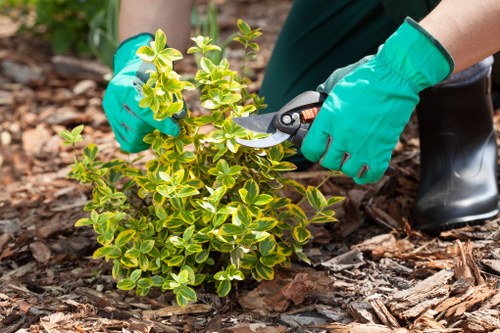 Gardening tools arranged for effective lawn mowing