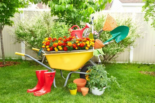 Professional garden maintenance services in Blackheath