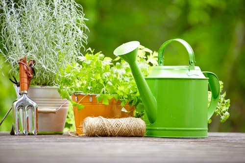 Tools for garden pruning in Blackheath