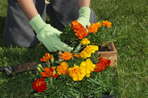 Blackheath climate impact on gardens