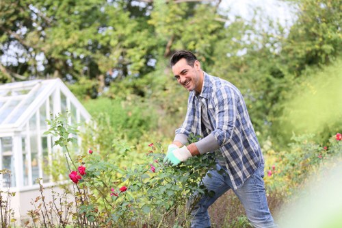 A man with dark hair, wearing a blue and white checkered shirt, blue jeans, and gardening gloves, is tending to a flower bed in a well-maintained garden. The garden features a neatly mowed lawn with dense, green grass in the foreground, bordered by flowering shrubs with pink and red blooms. In the background, there are mature trees with lush green foliage and a white greenhouse structure visible on the left. The scene is set outdoors on a bright, sunny day with natural daylight highlighting the vibrant colors of the plants and the natural textures of soil, paving, and wooden garden features. The environment appears tidy and thoughtfully landscaped, typical of residential gardening services in Blackheath, suggesting professional outdoor maintenance and lawn care work consistent with local gardening expertise.