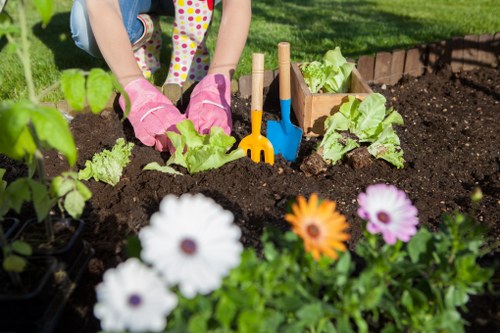 Garden clearance process with professionals in Blackheath