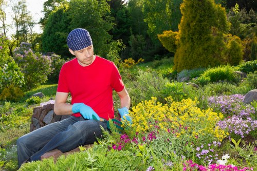 Eco-friendly decking options in Blackheath