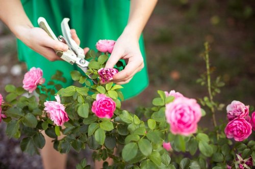 Environmentally sustainable tree management practices
