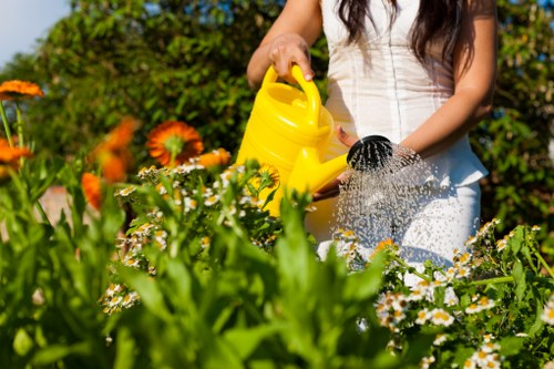 Choosing the right garden clearance service in Blackheath