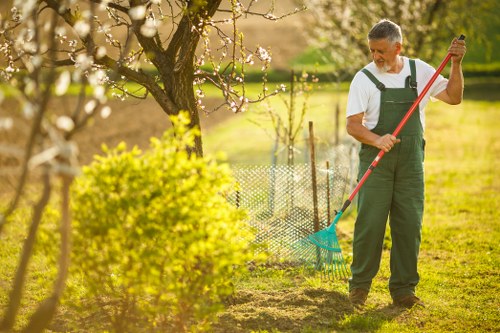 Overgrown tree branches being trimmed