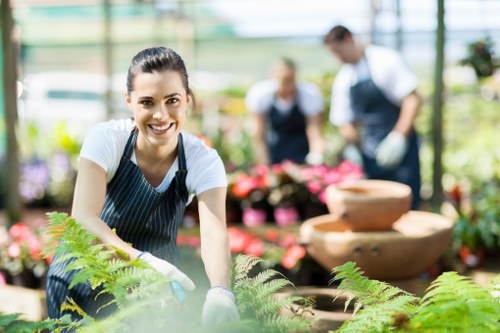 Blackheath lawn maintenance team
